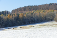 images/Unsere-Tiere/winteranfang.png
