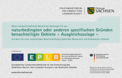 images/Zertifikate/31_AZL.png